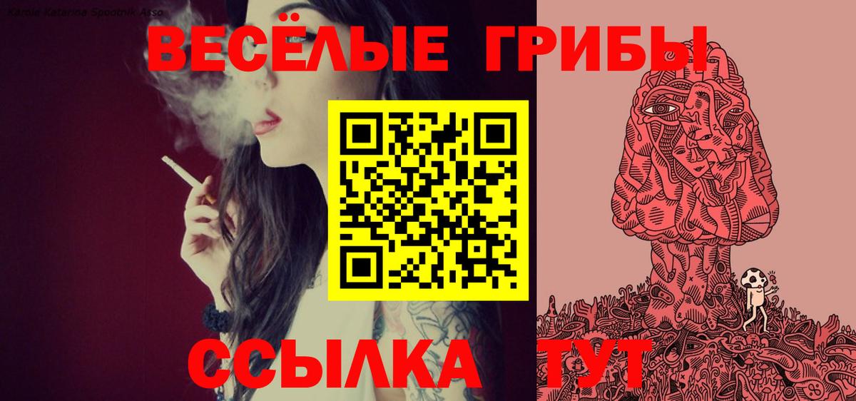 Псилоцибиновые грибы Magic Shrooms Видное