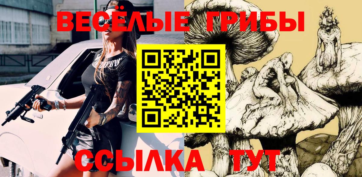 Псилоцибиновые грибы Psilocybine cubensis  Галлюциногенные грибы Psilocybine cubensis  Видное 