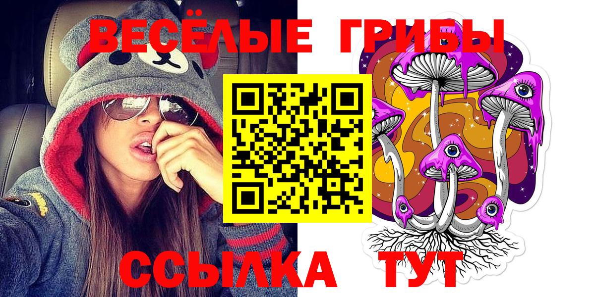 Галлюциногенные грибы Psilocybine cubensis Видное